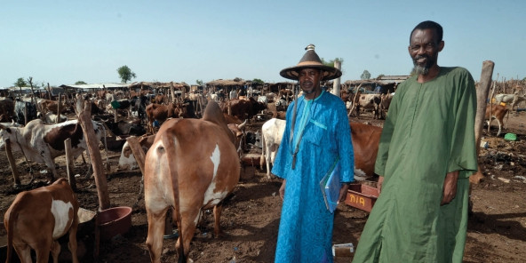 Bergers Peuls du Mali